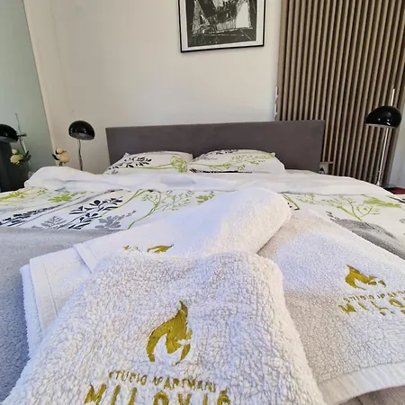 Апартаменты Milovic