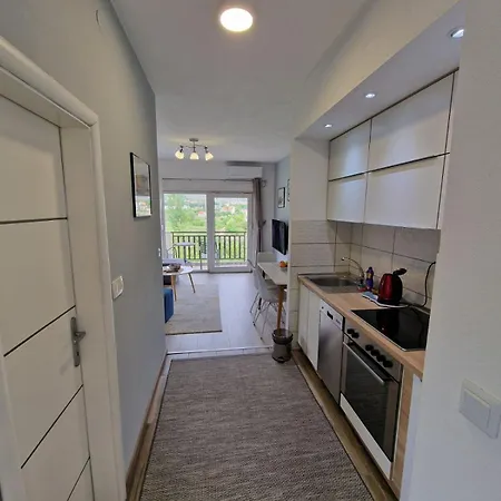 Апартаменты Milovic *